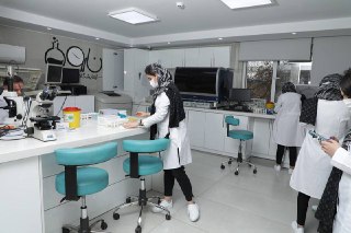 لیست آزمایش های هورمونی زنان